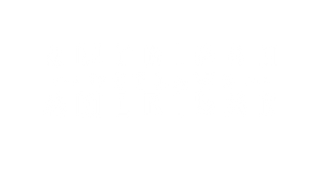 American Outlaws Co logo